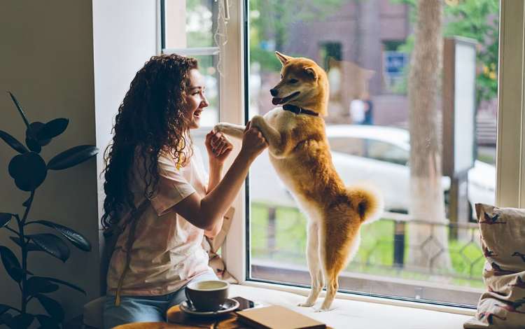 4 Constructive Pondering Strategies to Be taught from Caring for Pets